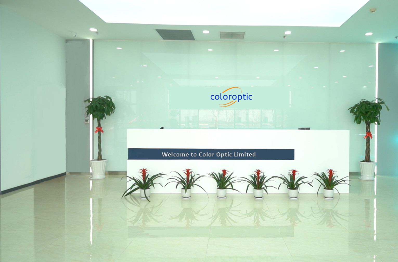 Trung Quốc Color Optic Limited hồ sơ công ty