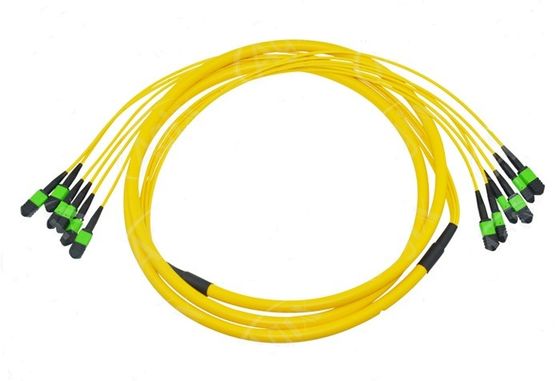 12 lõi MPO Cáp cắm sợi cho kết nối cáp trung tâm dữ liệu