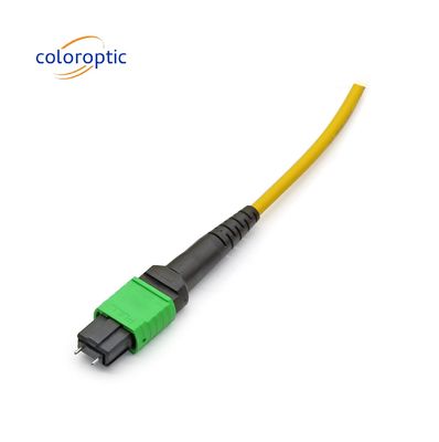 MTP APC Cáp quang nữ đến nữ 10/40G SM 3M PVC / LSZH