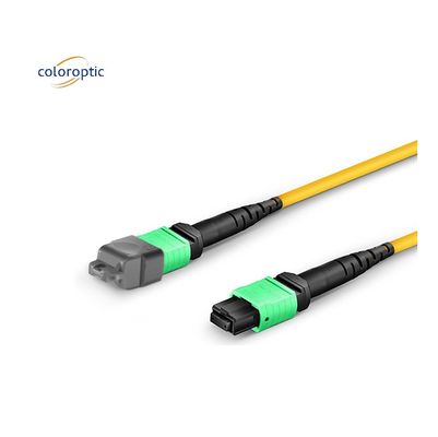 Cáp quang MPO đơn chế độ OM3 Fiber Grade với áo PVC