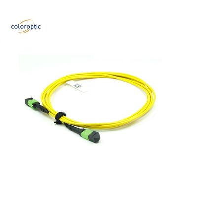 OM3 MPO Patch Cord 12 Core Aqua Fiber Optic Connector cho mạng hiệu quả