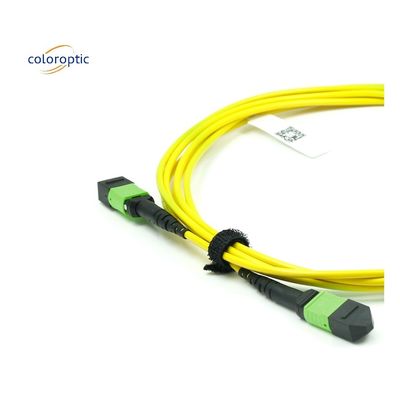 Cáp quang MPO đơn chế độ OM3 Fiber Grade với áo PVC
