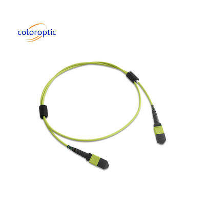 Multi-fiber MPO Patch Cord PVC Jacket 12 Core OM5 nữ đến nữ kết nối PC đánh bóng