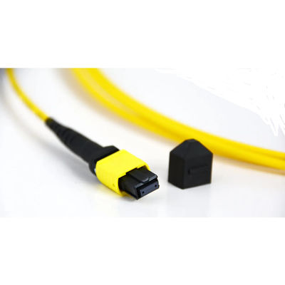 Mtp(Mpo) FIBRE G657.A1 (9/125) CABLE PATCH đơn chế độ 16 cho đầu nối APC PSM8 400G