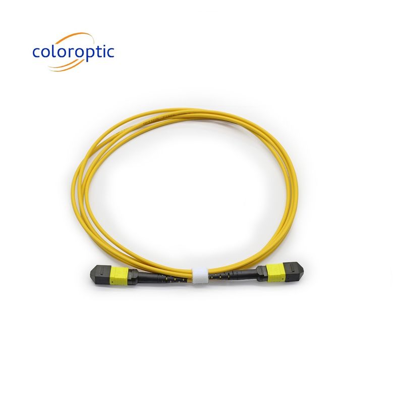 MTP APC Cáp quang nữ đến nữ 10/40G SM 3M PVC / LSZH
