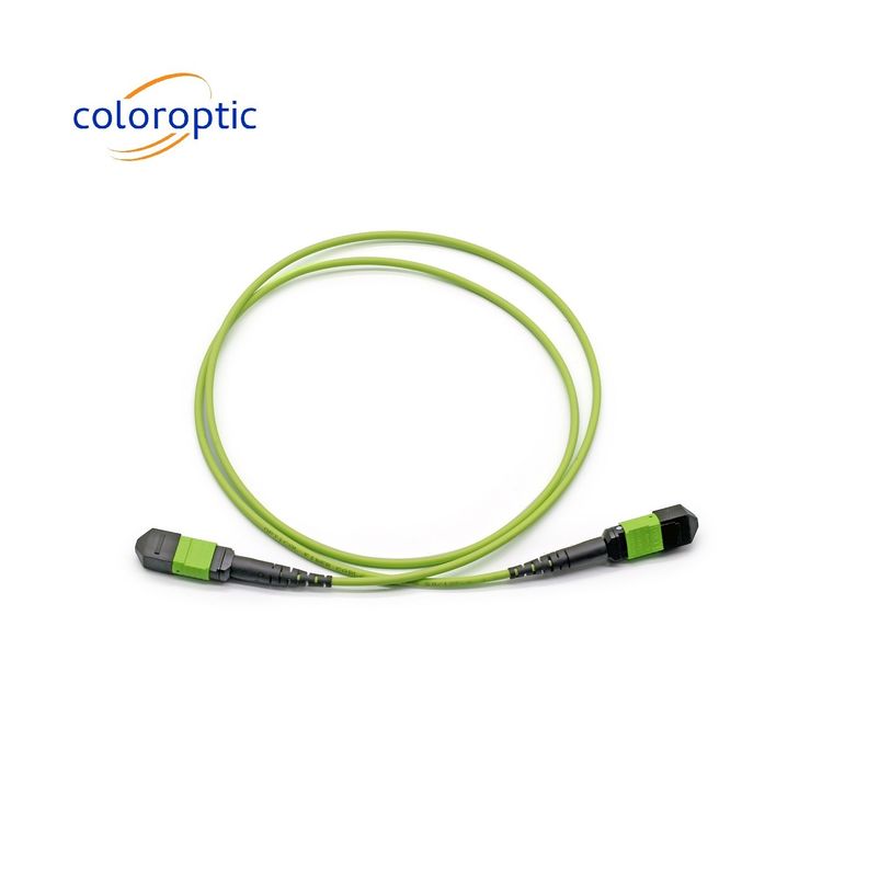 MTP Single Mode Patch Cord MTP Connector G652D / G657A1 / G657A2 Sợi