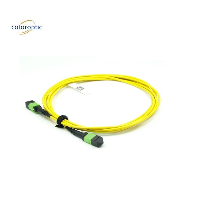 OM3 MPO Patch Cord 12 Core Aqua Fiber Optic Connector cho mạng hiệu quả