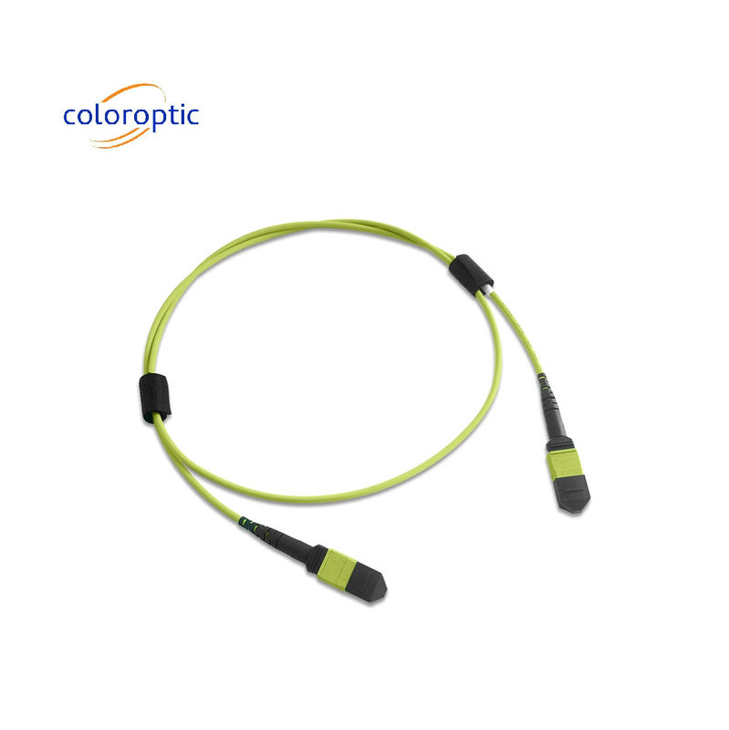 Multi-fiber MPO Patch Cord PVC Jacket 12 Core OM5 nữ đến nữ kết nối PC đánh bóng