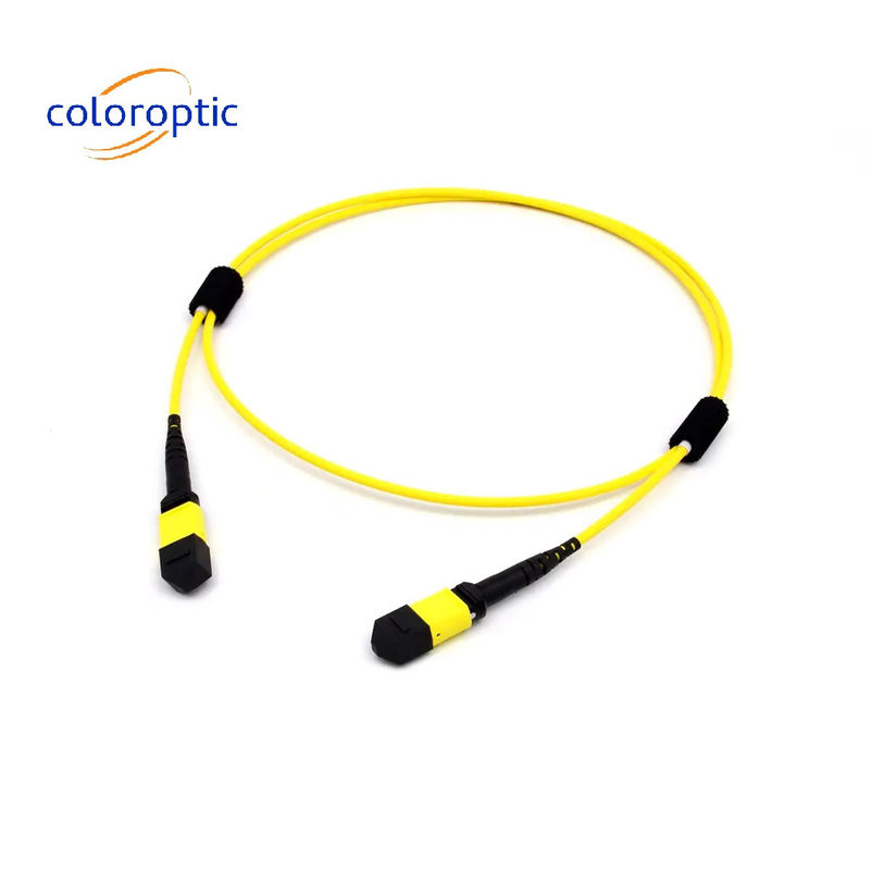 Multi Mode fiber MTP MPO 16 FIBRE OM5 (50/125) PATCH CABLE cho SR8 400G QSFP-DD và OSFP 400G SR8 PAM4