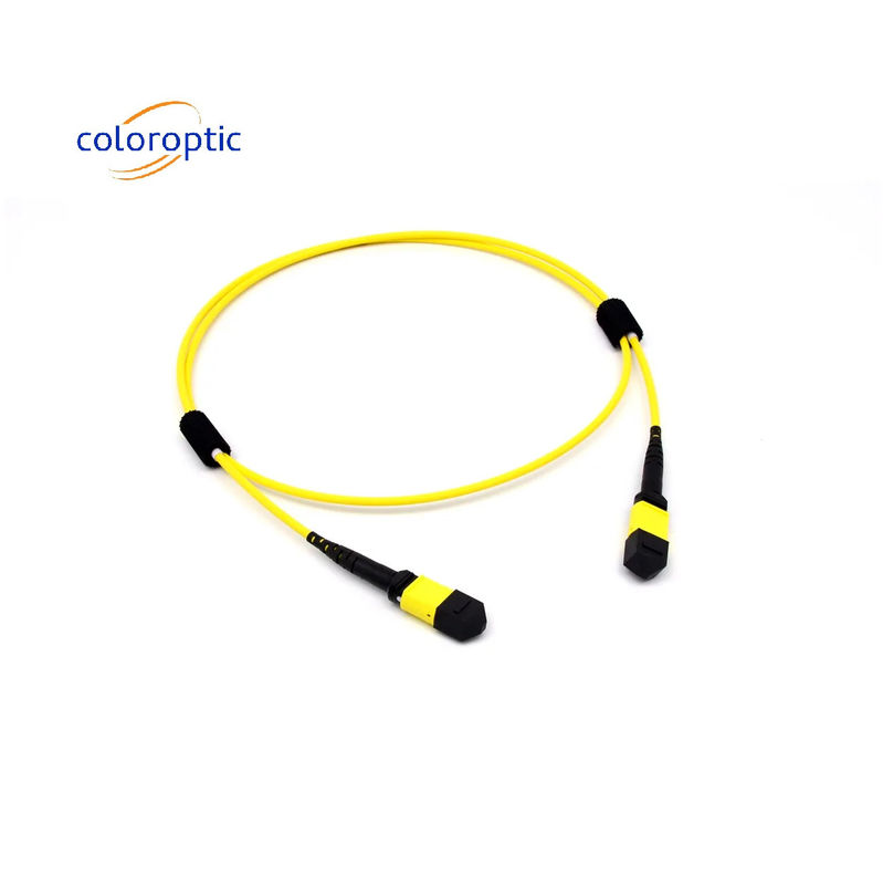 Mtp(Mpo) Cáp vá đơn chế độ 12 sợi loại B nữ đến kết nối nữ Pc đánh bóng